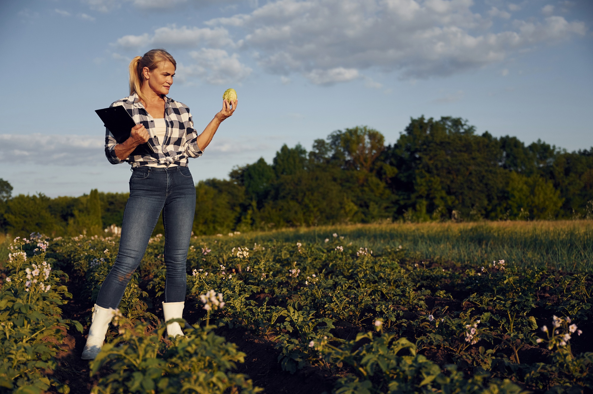 Quality control. WIth notepad and cabbage. Woman is on the agricultural field at daytime